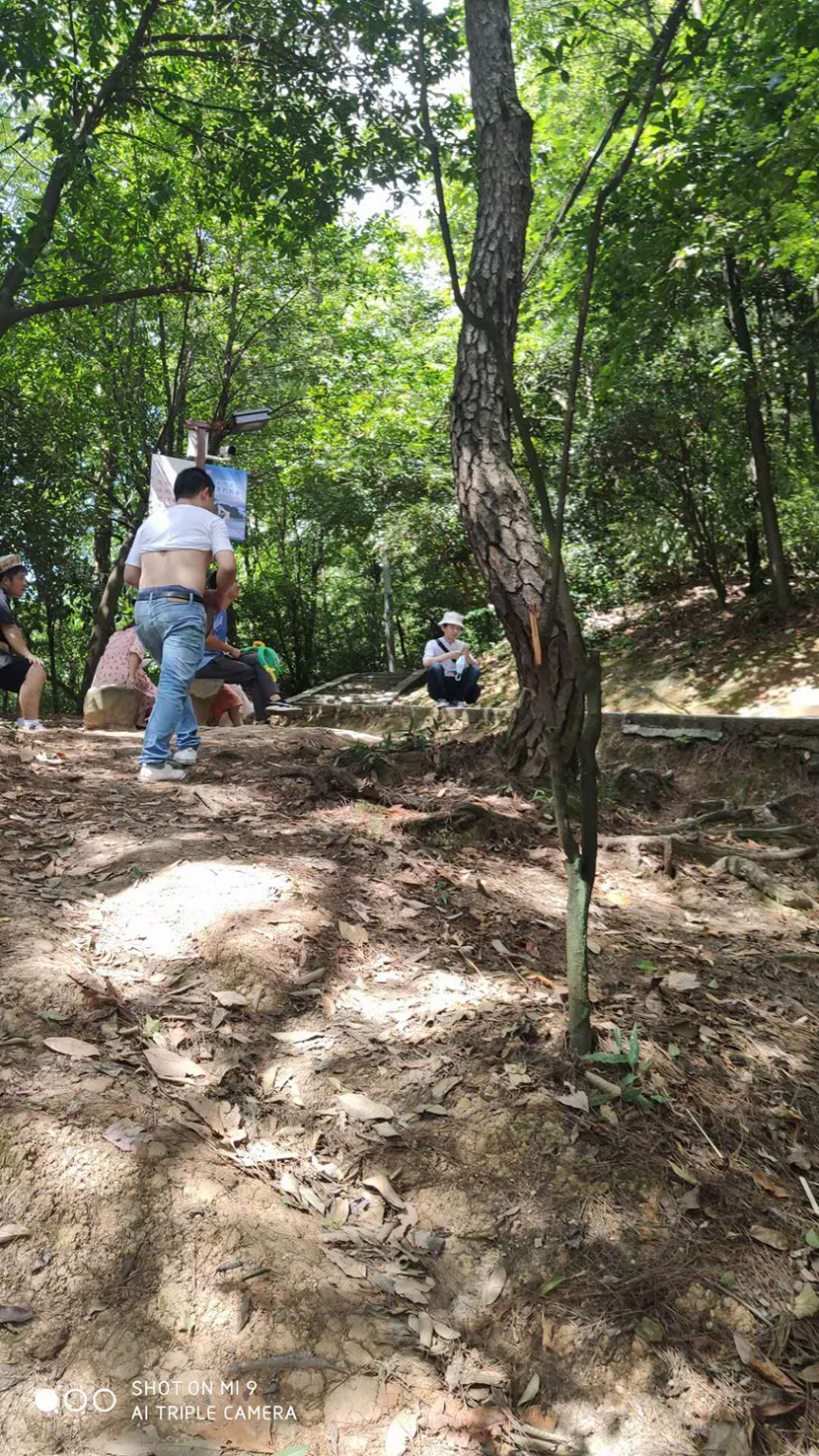湖南泓冠旅游 湖南泓冠旅游